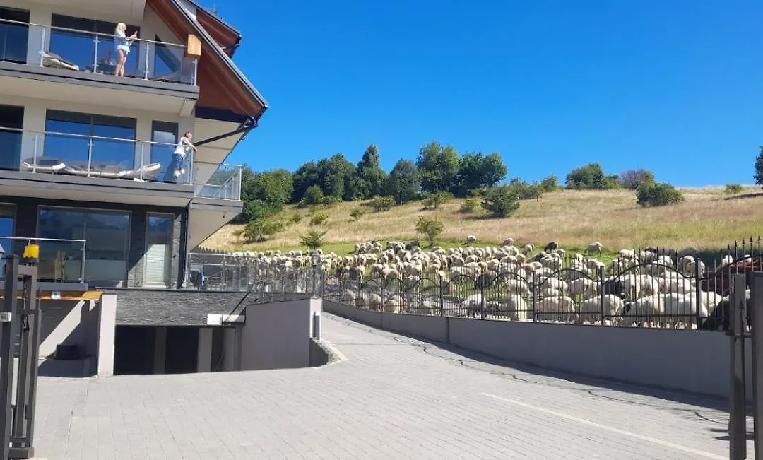 Apartamenty Bachledzki Wierch-1